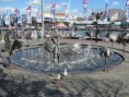 /album/darling-harbour/img-0017-2-jpg/